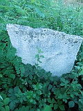DSCN6755