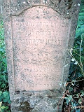 DSCN6767