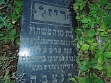 DSCN6793