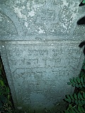 DSCN6803