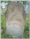 Row-36-49