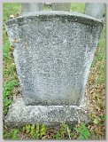 Row-36-51