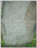 Row-41-11
