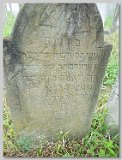 Row-41-12