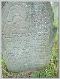 Row-41-16