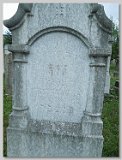 Row-41-24
