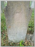 Row-42-10