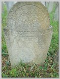 Row-42-19