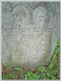 Row-42-28