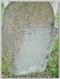 Row-42-29