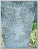 Row-43-22