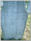 Row-51-41