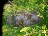 Berezovo-tombstone-161