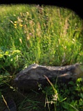 Berezovo-tombstone-242