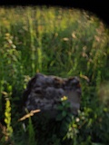 Berezovo-tombstone-263