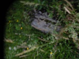 Berezovo-tombstone-288