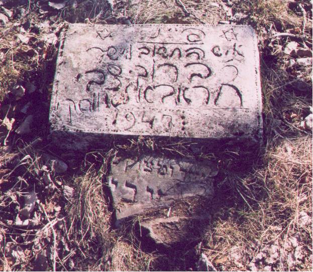 boruchtzvi2.jpg (92712 bytes)