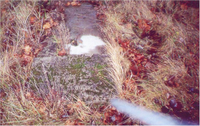 stone4.jpg (93116 bytes)