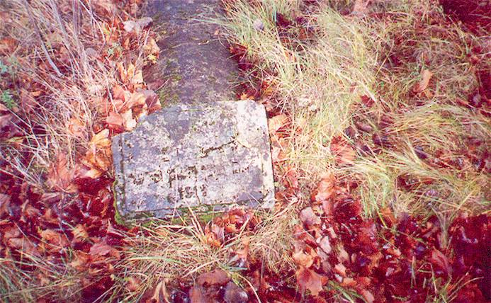 stone7.jpg (97988 bytes)