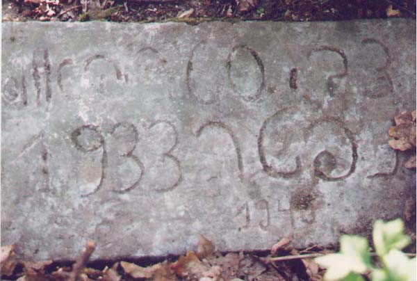 tzvi.jpg (42024 bytes)