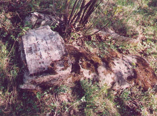 unknown3.jpg
        (83861 bytes)