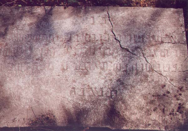 unknown4.jpg
        (54785 bytes)