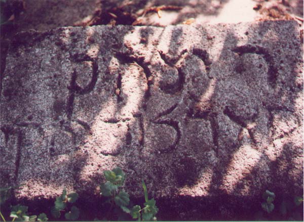 yitzhak.jpg (63510 bytes)