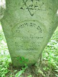 Bohdan-tstone-014