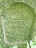 Bohdan-tstone-019