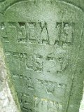 Bohdan-tstone-029