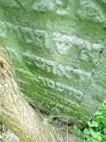 Bohdan-tstone-086