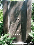 Borzhava-tstone-005