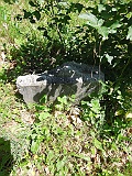 Borzhava-tstone-091