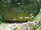 Borzhava-tstone-118