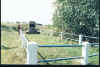 massacre site of 266 women and children.jpg (79869 bytes)
