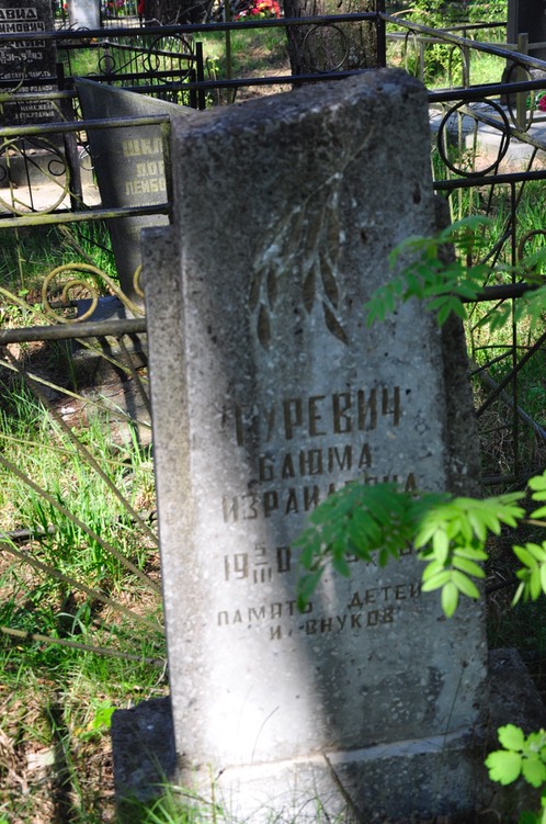 398 Gurevich