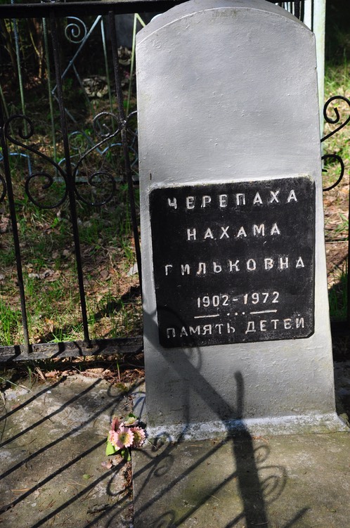 401 Cherepakha