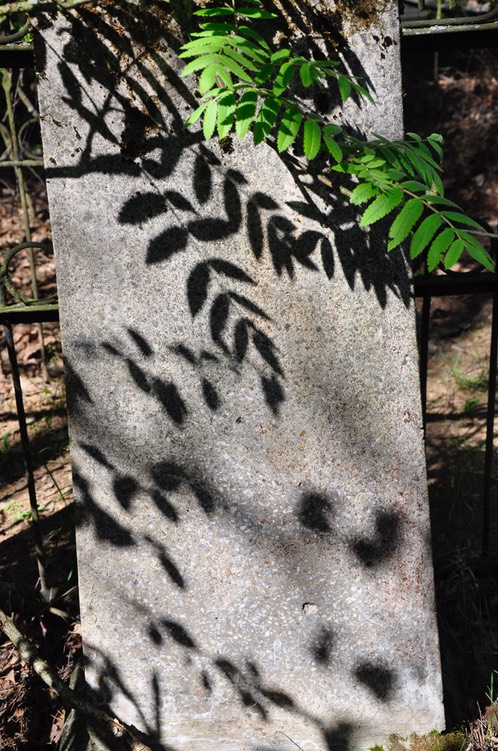 439 No visible inscription