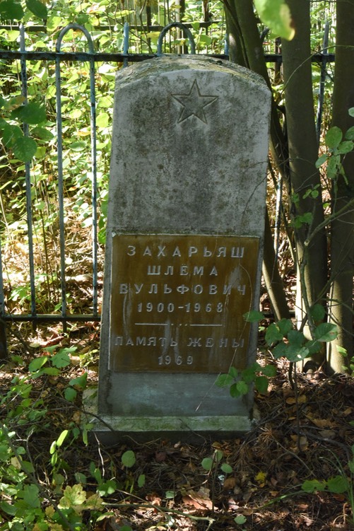 8931 Zakhar'yash