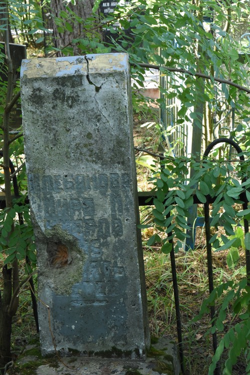 8950 Klebanova