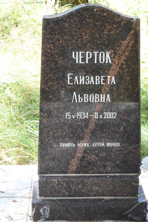 8976 Chertok