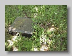 Chabanivka-Cemetery-2005-10