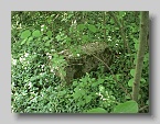 Chabanivka-Cemetery-2005-11