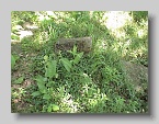 Chabanivka-Cemetery-2005-13