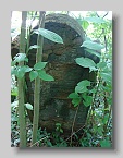 Chabanivka-Cemetery-2010-003