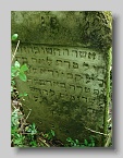 Chabanivka-Cemetery-2010-015