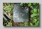 Chabanivka-Cemetery-2010-058