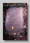 Chabanivka-Cemetery-2010-106
