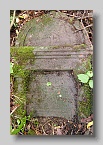 Chabanivka-Cemetery-2010-118