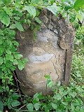 Chepa-tstone-110